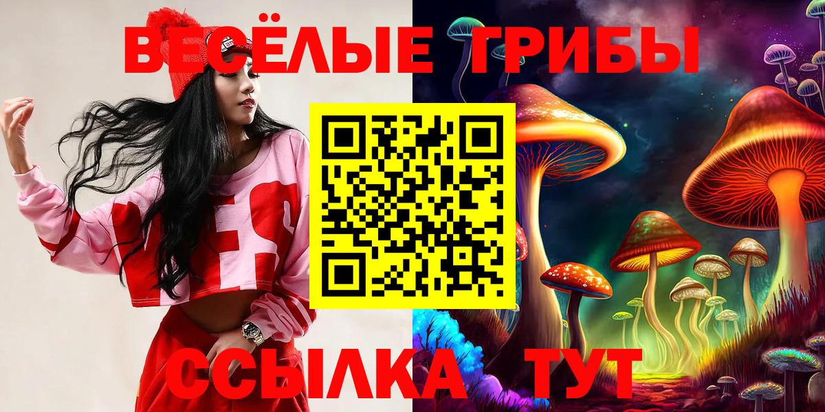Галлюциногенные грибы мицелий  Вход с VPN  Избербаш 
